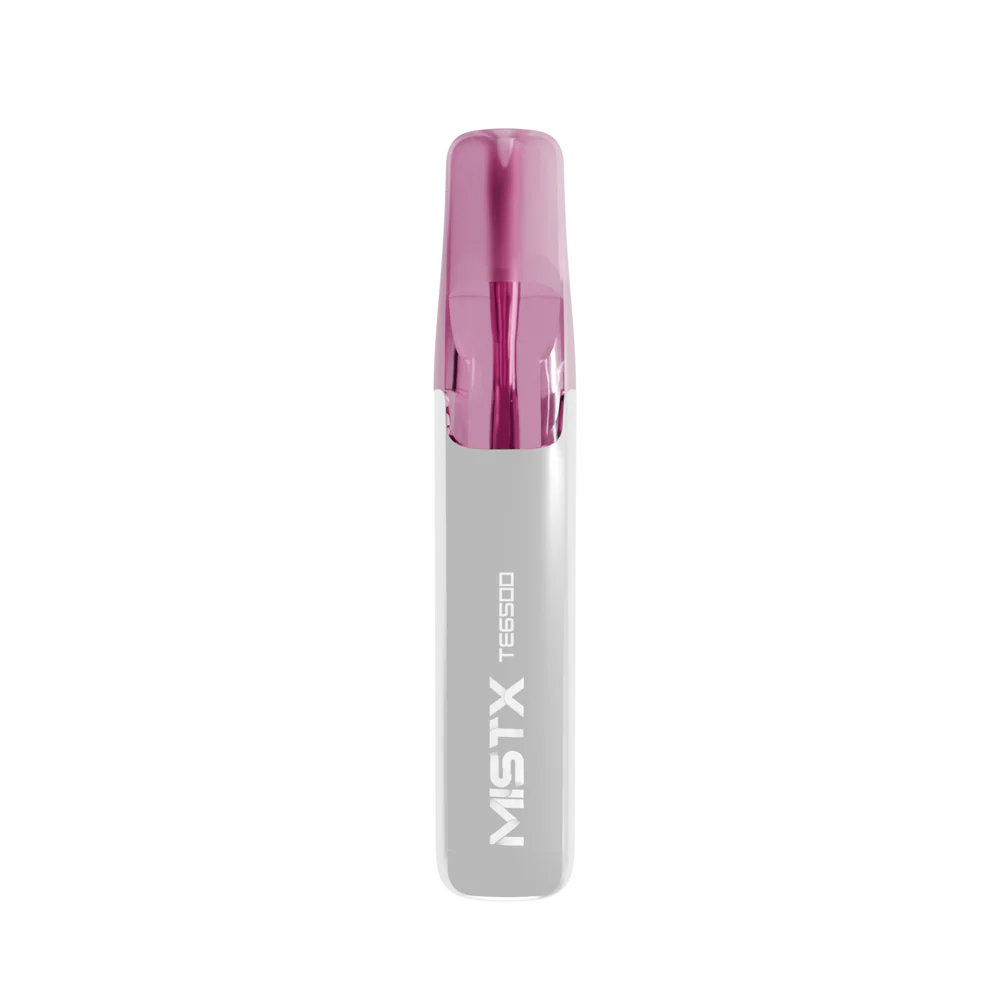 MIST X 鴨嘴獸 6500口拋棄式電子煙/一次性電子煙-台灣現貨