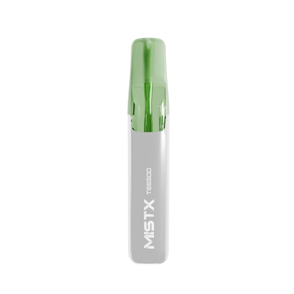 MIST X 鴨嘴獸 6500口拋棄式電子煙/一次性電子煙-台灣現貨