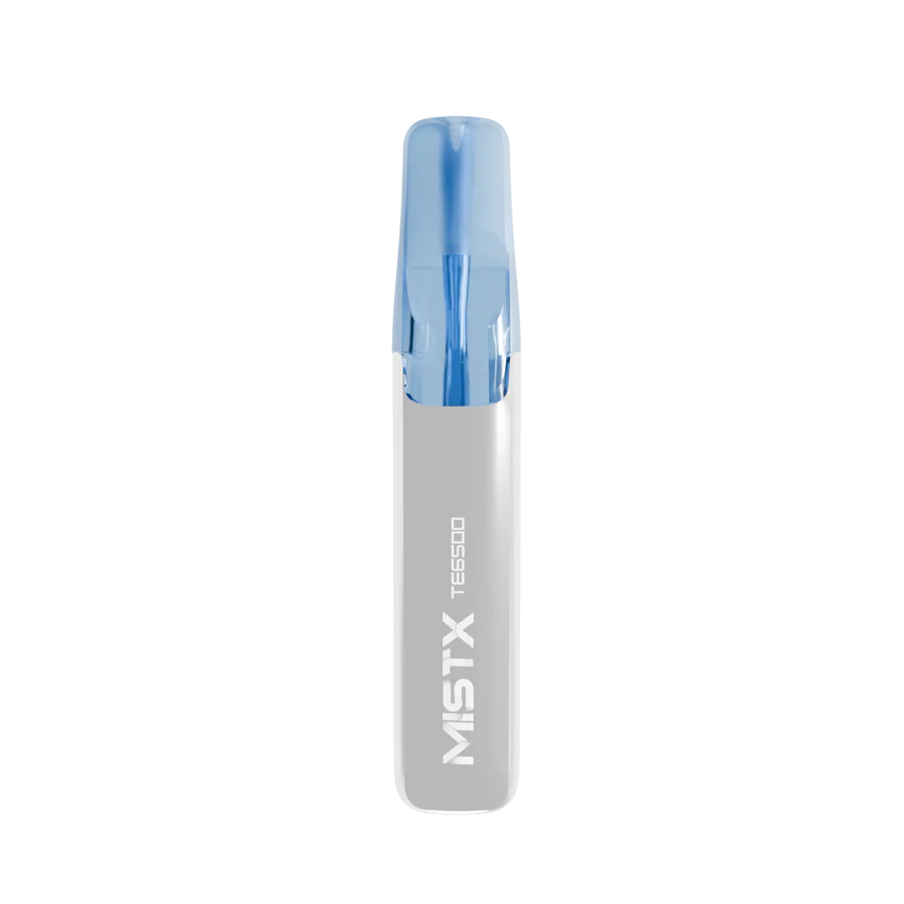 MIST X 鴨嘴獸 6500口拋棄式電子煙/一次性電子煙-台灣現貨