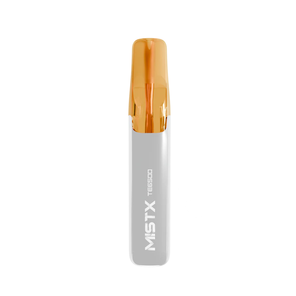 MIST X 鴨嘴獸 6500口拋棄式電子煙/一次性電子煙-台灣現貨