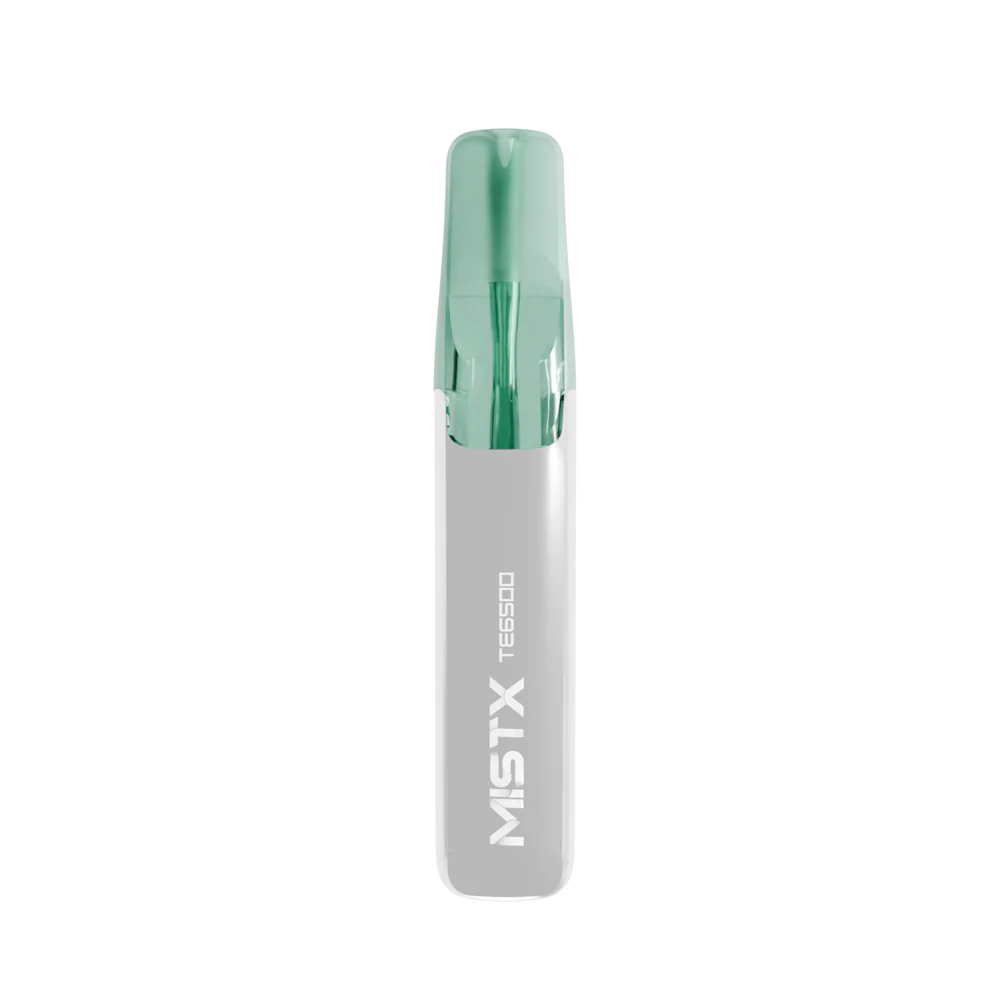 MIST X 鴨嘴獸 6500口拋棄式電子煙/一次性電子煙-台灣現貨