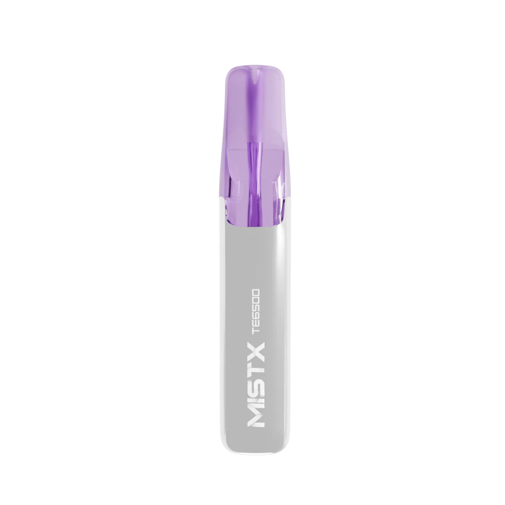 MIST X 鴨嘴獸 6500口拋棄式電子煙/一次性電子煙-台灣現貨